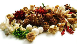 Hurtownia florystyczna